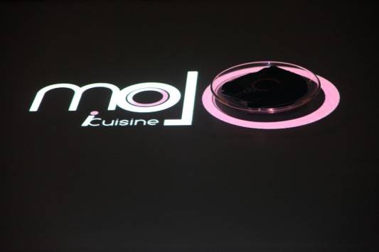 MOJO iCuisine – интерактивный ресторан от Moxie Design